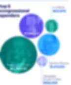 Vote Mama Spender Graphics - top 5 congressional spenders.avif